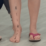 Wilma | Sandalias Ortopédicas De Verano